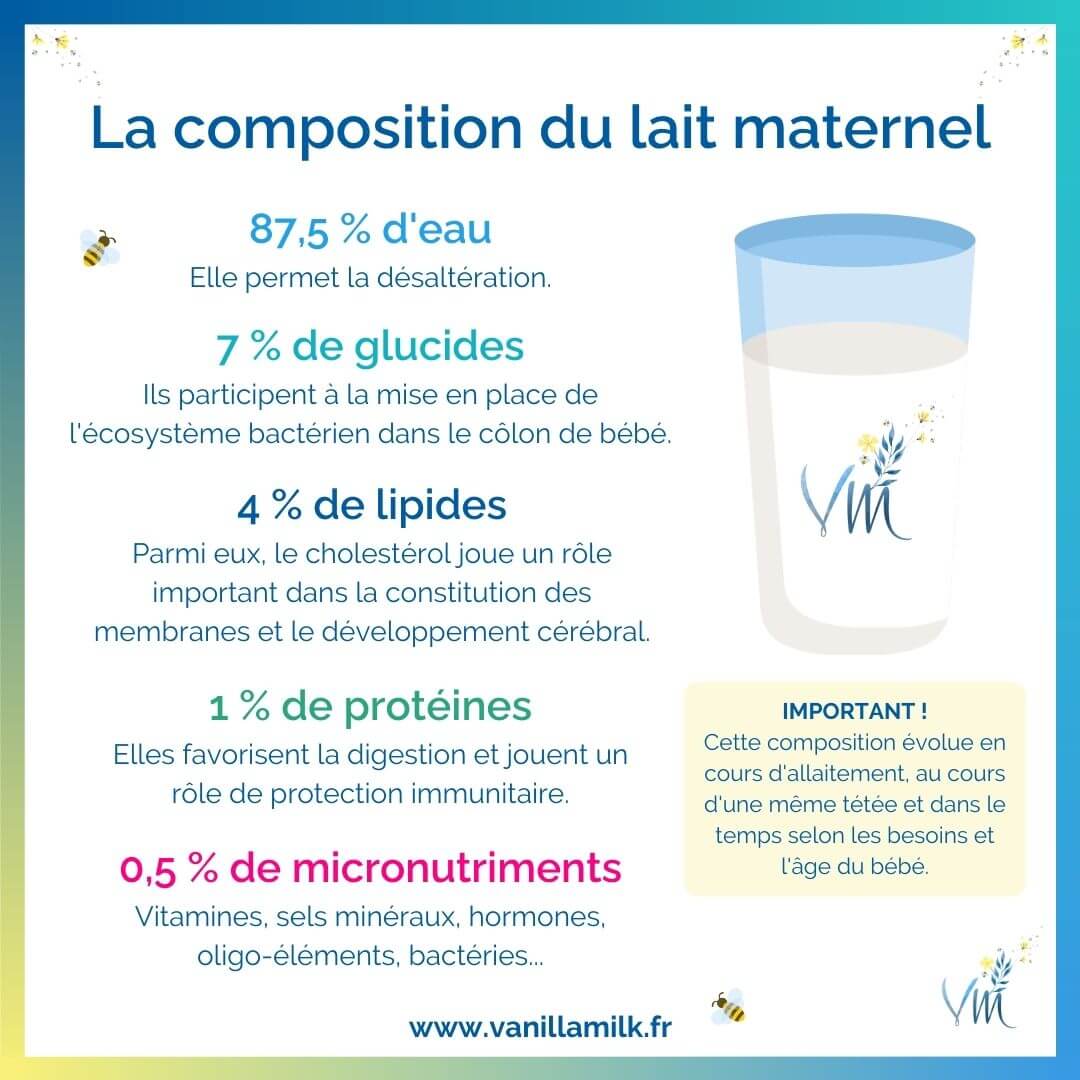 infographie-composition-lait-maternel