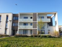 Coraline Duclos — Professionnel EXPERT en allaitement